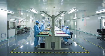 寵物DR技術(shù)大比拼 選擇適合你的X光診斷利器